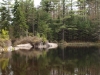 Deer Pond